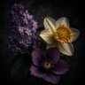 Pamela's profile picture