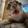 KaySon.Li profil fotoğrafı