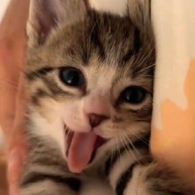묭's profile picture