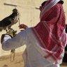 Profilbild von عبد المحسن الخياط 🇰🇼