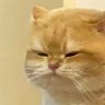 Profilbild von ✿น้องพี