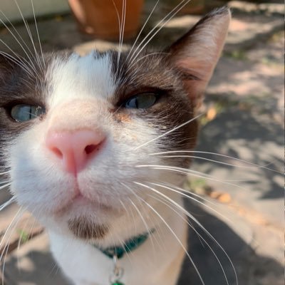 How Do You Spell 🤍's profile picture