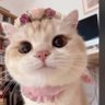 Profilbild von เครแก 😉