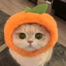 jsunshine 🍋 profil fotoğrafı