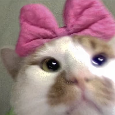 cha123XXX's profile picture