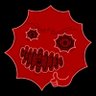Webster's profile picture
