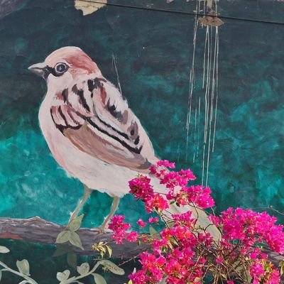 raushanyaduvans's profile picture