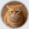 daywith.aris ✿ profil fotoğrafı