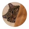 Profilbild von katkaktus