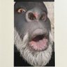 xNigaaaah's profile picture