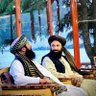 قاری عبدالجلیل انتقام's profile picture