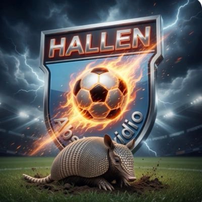 Hᴀʟʟᴇɴ AFC's profile picture