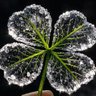 Marie's profile picture