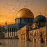 R Nasiriض 🇲🇦🇵🇸 profil fotoğrafı