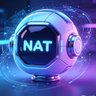 NAT 获得更好 的头像