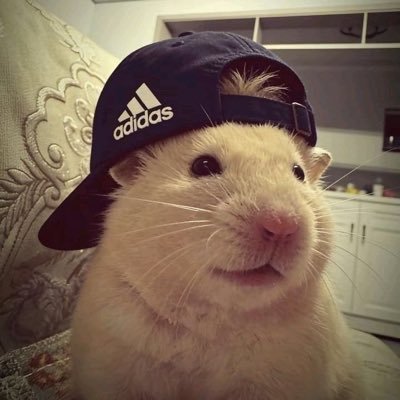 Đẹp trai hay buồn's profile picture
