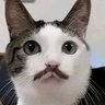 JUN🌻🐰's profile picture