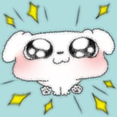 puppy0581's profile picture