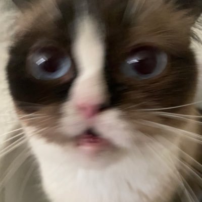 takani mran's profile picture