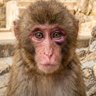 Timtimsrithong profil fotoğrafı