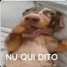 Фото профиля É o arthur né?