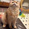 Sunnnn's profile picture