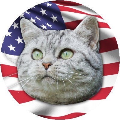 Andrew @ Don’t Walk, RUN!'s profile picture