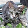 백현徐坤 profil fotoğrafı