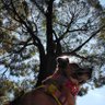 Libertad's profile picture