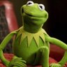 Kermit the Groyper 的头像