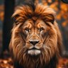 Profilbild von منتظر