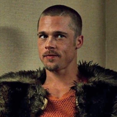 the mav's profile picture
