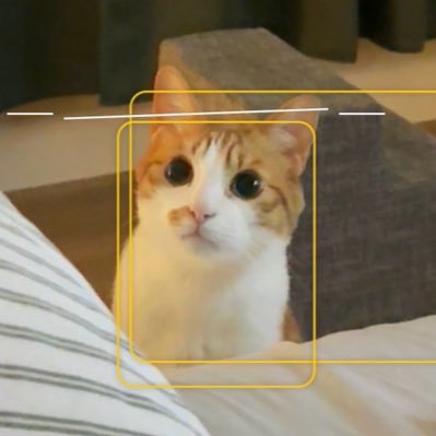 єαrnrαє ⌯’ㅅ’⌯'s profile picture