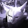 Hanz's profile picture