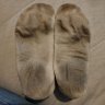 Фото профиля Fuzzycrocfeet(2)