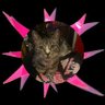 gemini's profile picture