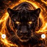 Bryan Thomas's profile picture