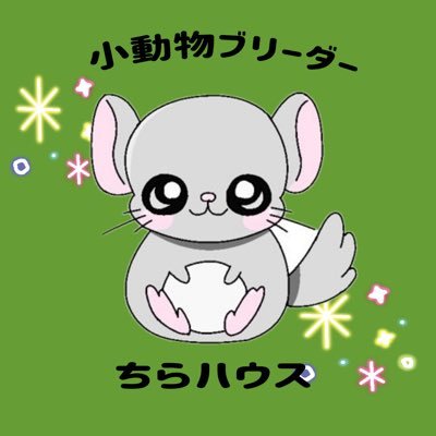 chirahouse's profile picture