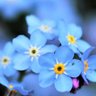 Фото профиля Ship_Love