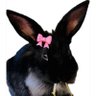 Фото профиля PLAก๊วย‧₊ ᵎᵎ🎀
