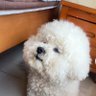 没有名字's profile picture