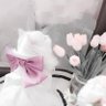 ねむにゃ profil fotoğrafı