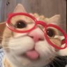 meowli・° ෆ's profile picture