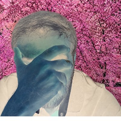World Data Analysis's profile picture