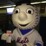 Mr. Met #davidstearnsout's profile picture