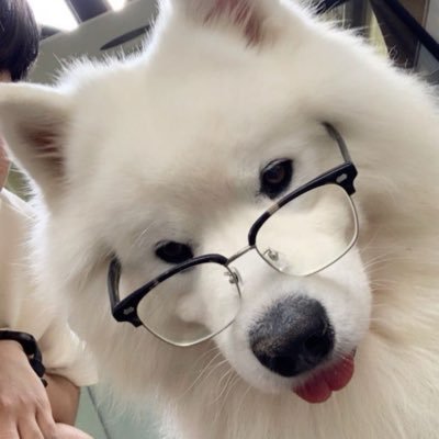 khunairy's profile picture