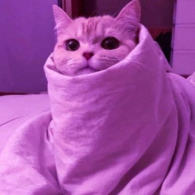 jessu's profile picture
