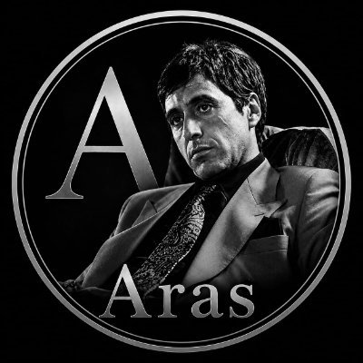 aras_0024's profile picture