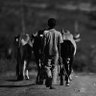 Фото профиля The Rural Guy ™