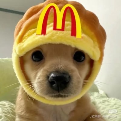 yan53608's profile picture